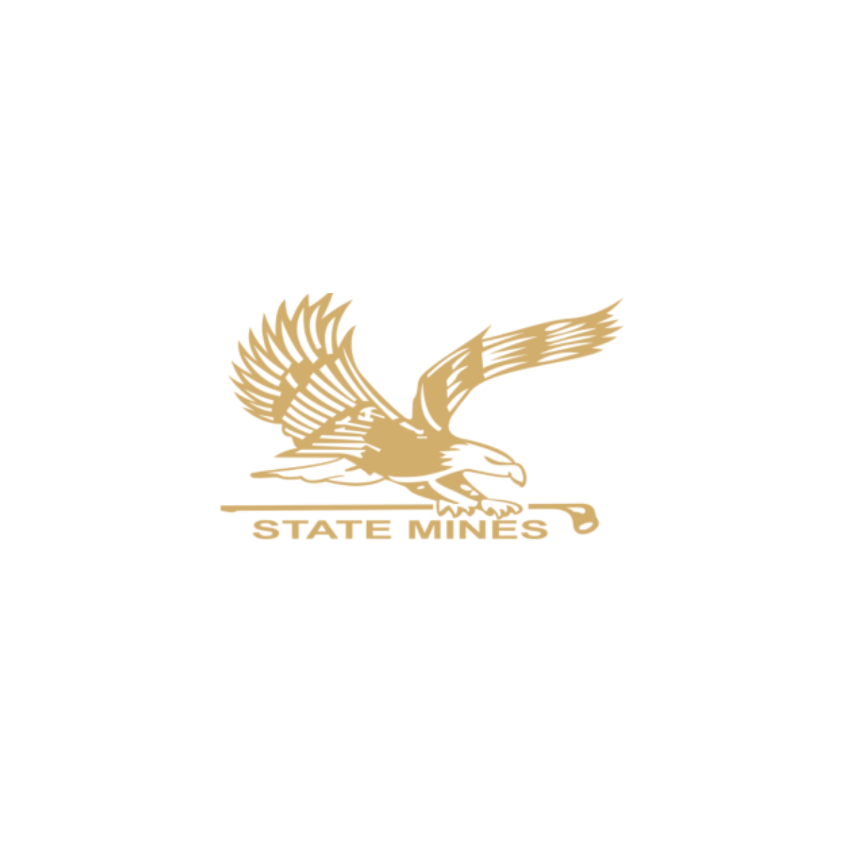 MyHomeClub | State Mines